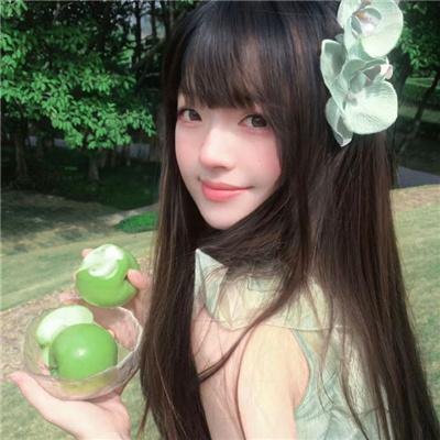 寻宝搭档第二季